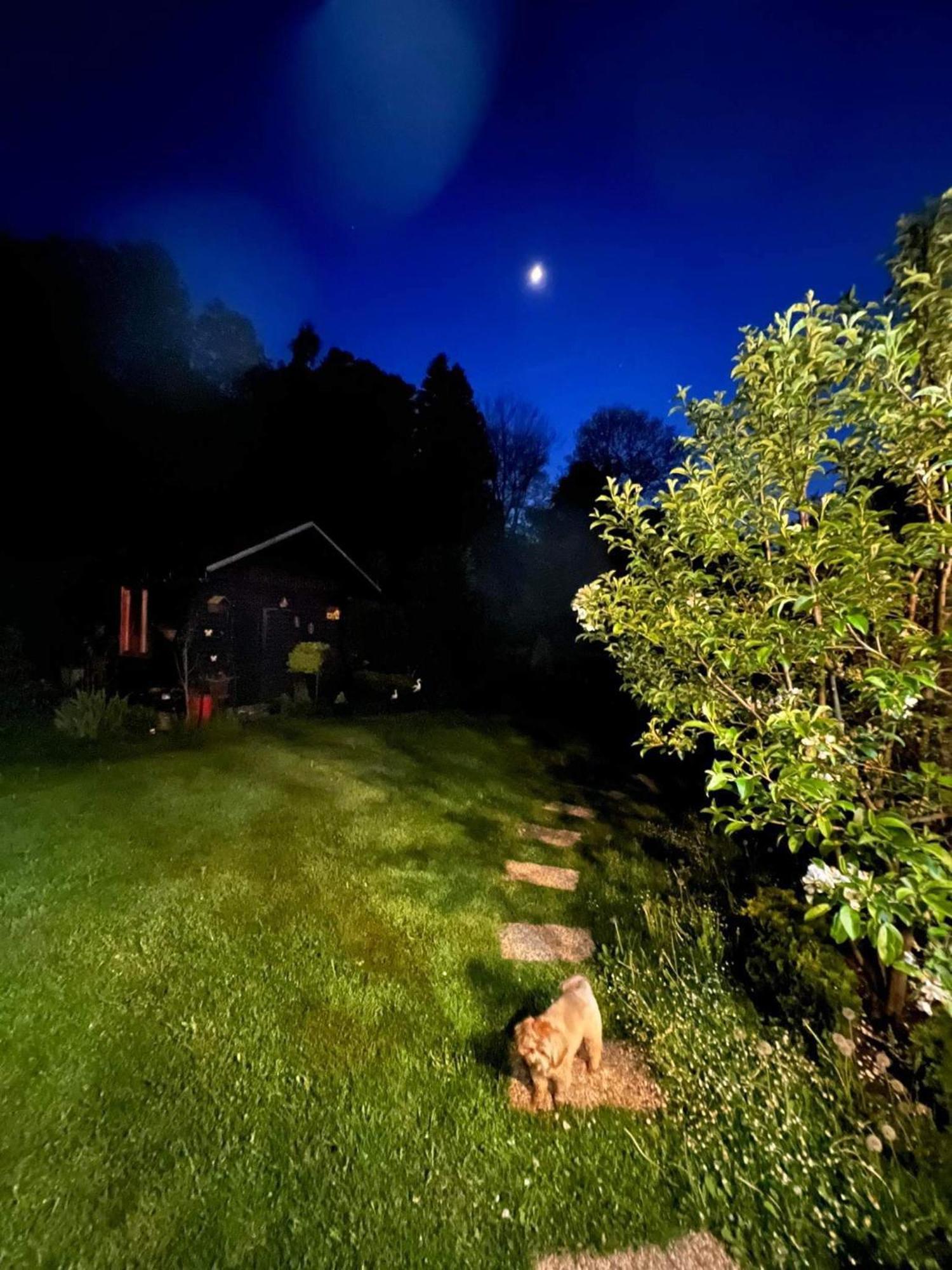Privat Forest Liptovský Mikuláš Exteriör bild